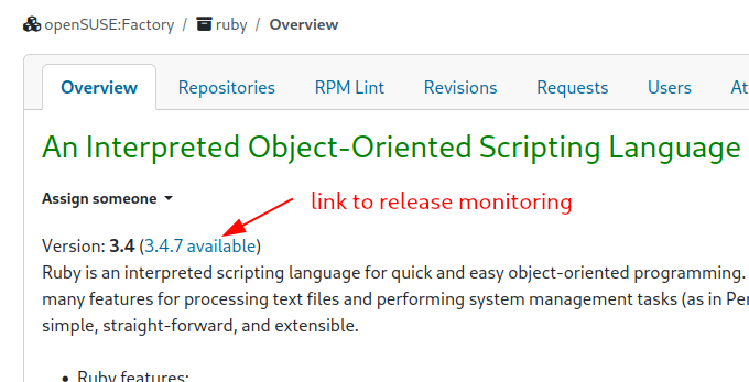 Screenshot of version link in the package page